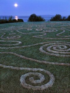 a grassy field with spiral designs in the grass at night, and a full moon behind it