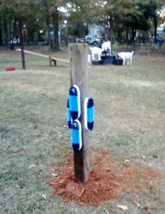 a wooden post with blue paint on it in the middle of a grassy area next to trees