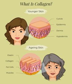 #skincare #biology #science #collagen #skinhealth #dermatology Baking Soda Teeth Whitening, What Is Collagen, Basic Anatomy And Physiology, Collagen Serum, Skin Structure, Skin Science, Clear Skin Tips, Younger Skin