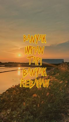 the words are written in neon yellow letters on grass near water at sunset or dawn