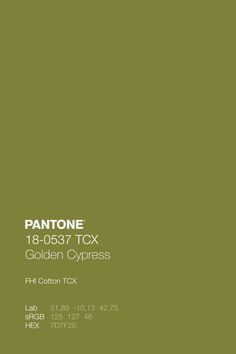 pantone's 108 - 040 tcx luna bean green