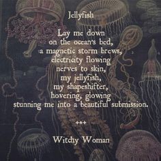 a poem written by a woman with jellyfish on the ocean's back ground