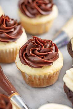 chocolate cupcakes with white frosting on a table