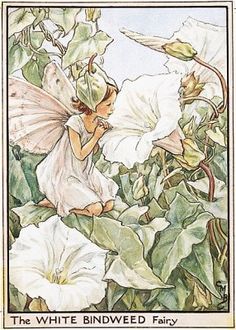 a painting of a fairy sitting in the middle of flowers