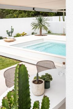 a table with two plants on it next to a pool