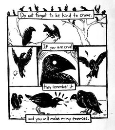 a comic strip with birds on it and the words do not forget to be kind to crow