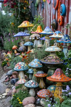 many different colored mushrooms are in the garden