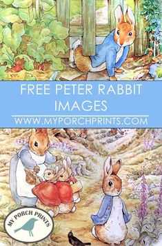 the peter rabbit book is shown with an image of two rabbits and one bird in it