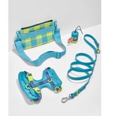 a blue and green dog harness, leash, collar, lead set and other items laid out on a white surface