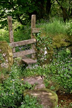 a wooden bench sitting in the middle of a lush green forest filled with flowers and plants