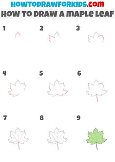 how to draw a maple leaf for kids with step by step instructions on the leaves