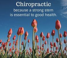 Spring Chiropractic, Chiropractic Therapy, Chiropractic Clinic, Family Chiropractic