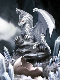 a white dragon sitting on top of a rock