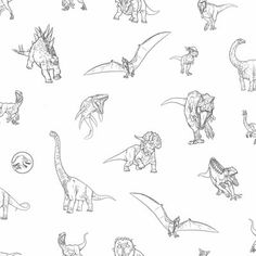 a bunch of different types of dinosaurs on a white background