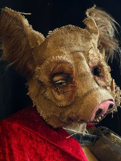 an animal mask is wearing a red cape and has it's nose partially covered