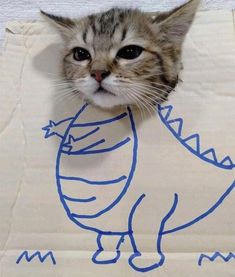 a cat is peeking out from behind a paper bag with a drawing of a dinosaur on it