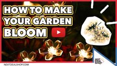 an advertisement for how to make your garden bloom