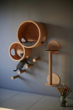 a cat climbing up the side of a wall next to a shelf with two cats on it