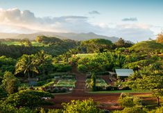 a lush green hillside with lots of trees and houses in the distance, surrounded by greenery