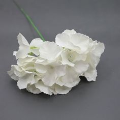 some white flowers on a gray surface