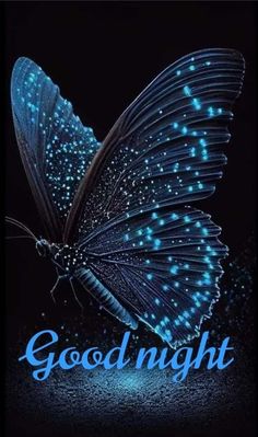 a blue butterfly with the words good night on it's wings and glowing stars