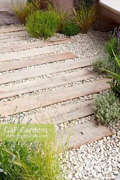 an outdoor garden with stone steps and plants