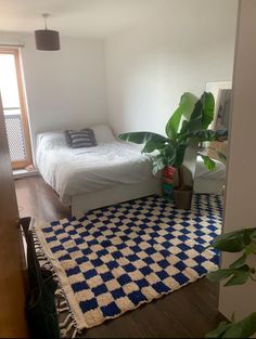 a bedroom with a bed, rug and plant in the corner on the floor next to it