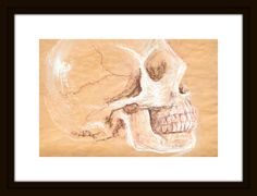 a drawing of a human skull on brown paper