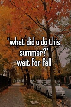 the words what did u do this summer wait for fall? on a street with parked cars