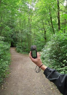 a person holding up a cell phone in front of a path through some trees and bushes