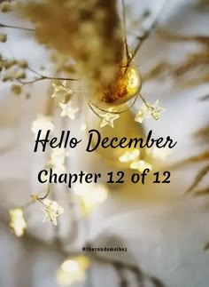 an image of a christmas ornament hanging from a tree with the words hello december