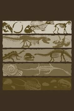 an image of dinosaurs in different stages of life