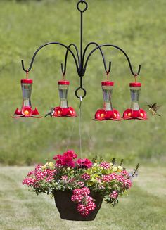 Flowers And Hummingbirds, Bird Garden, Hummingbird Feeder, Butterfly Garden, Hummingbird Garden, Bird Feeder, Humming Bird Feeders, Backyard Birds