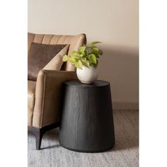 a living room scene with focus on the end table and chair that has a potted plant on it