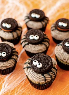 chocolate cupcakes decorated with oreo cookies and spider eyes on an orange surface