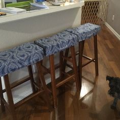 a dog standing next to two stools in front of a counter