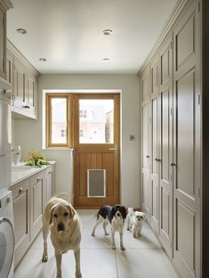 two dogs standing in the middle of a kitchen