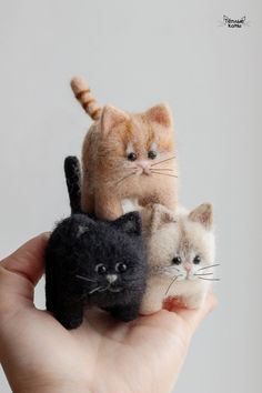 there are three small cats in the hand