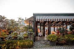 an outdoor dining area with potted plants and trees