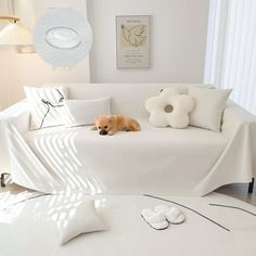 a brown dog laying on top of a white couch in a living room next to a window