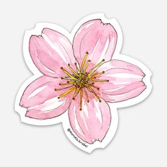 Cherry Blossom Flower Sticker - Waterproof Vinyl - Marcella Kriebel Art + Illustration Cherry Blossom Printable, Watercolour Stickers, Cherry Blossom Sticker, Stickers Ideas, Sticker Design Inspiration, Cherry Blossom Flower, Cute Laptop Stickers, Watercolor Stickers, Scrapbook Stickers Printable