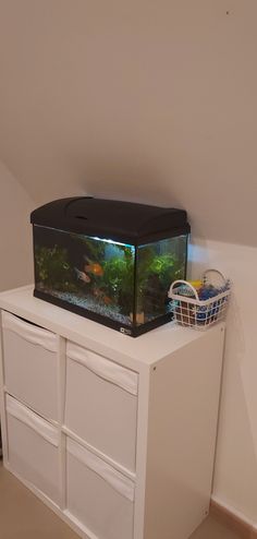 a fish tank sitting on top of a white cabinet