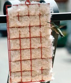 a hummingbird is flying over a piece of food on a red wire rack with white rice in it