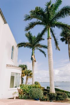 two palm trees in front of a white house