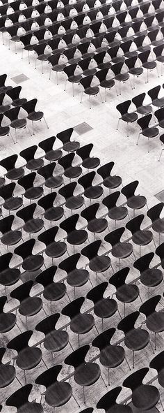 black and white photograph of rows of chairs with umbrellas in the middle, taken from above