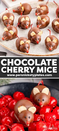 chocolate cherry mice are arranged in the shape of mouses on top of cherries