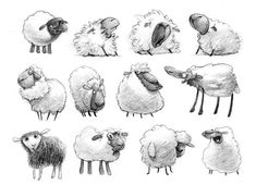 a bunch of sheep that are standing up in the air with their heads turned to look like they're looking at something