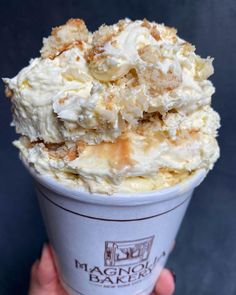 a hand holding up a cup filled with ice cream