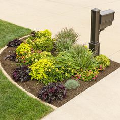 a mailbox in the middle of a flower bed