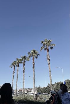 two people sitting on a bench under palm trees